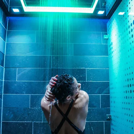 فندق ذا ثيف 5*